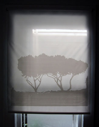 M_Borrell-rome-trees-3.jpg